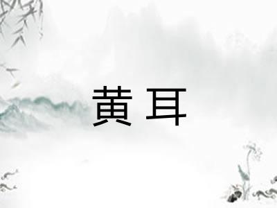 黄耳 黄耳