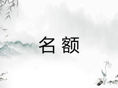 名额 名额