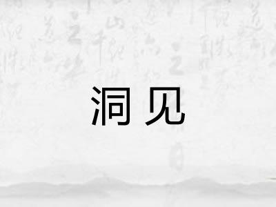 洞见 洞见