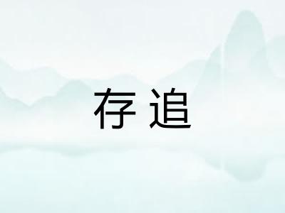 存追 存追