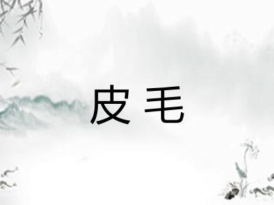 皮毛 皮毛