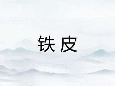 铁皮 铁皮