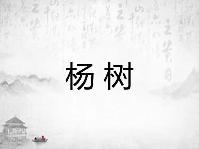 杨树 杨树