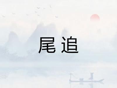 尾追 尾追