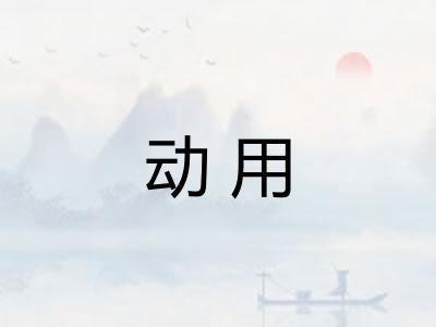 动用 动用