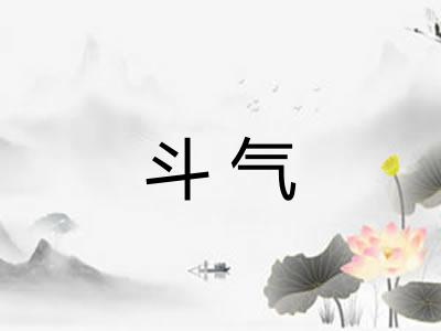 斗气 斗气