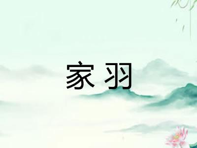 家羽 家羽