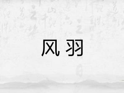 风羽 风羽
