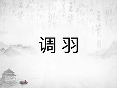 调羽 调羽