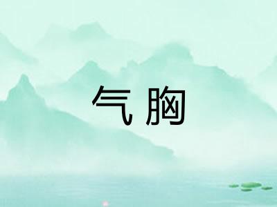气胸 气胸