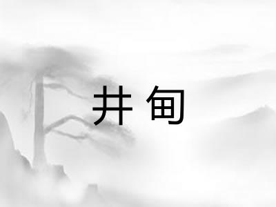 井甸 井甸