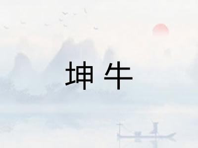 坤牛 坤牛