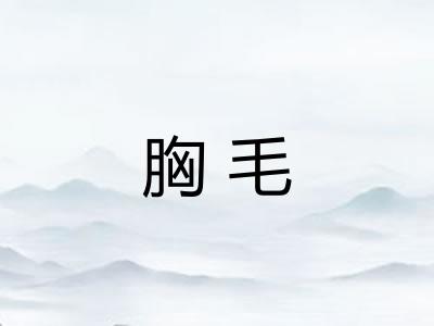 胸毛 胸毛