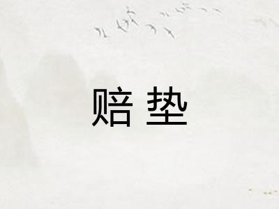 赔垫 赔垫