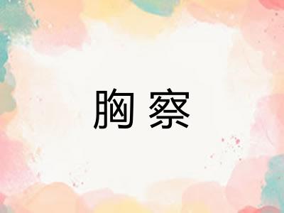 胸察 胸察