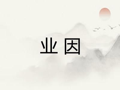 业因 业因