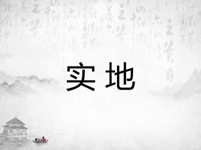 实地 实地