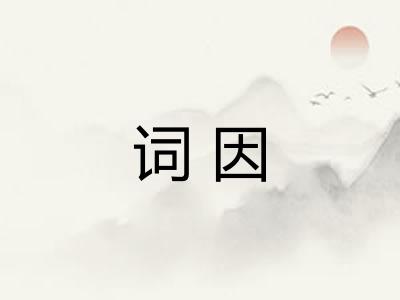 词因 词因