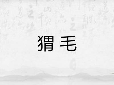 猬毛 猬毛