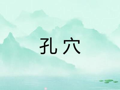 孔穴 孔穴