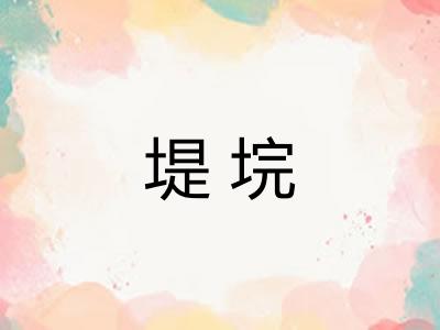 堤垸 堤垸