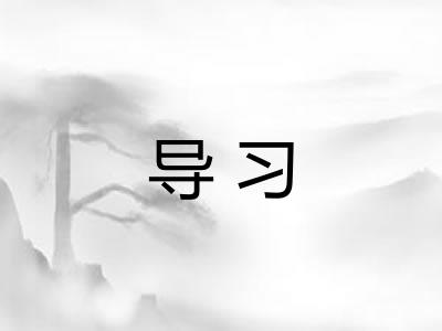 导习 导习