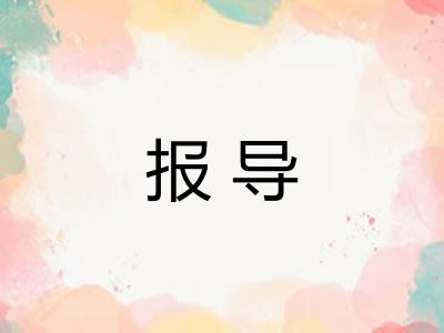 报导 报导