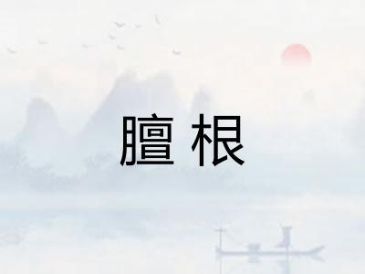 膻根 膻根