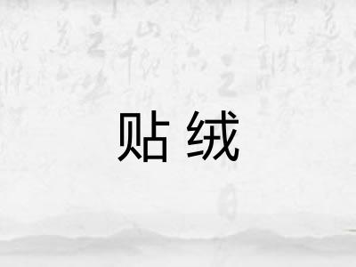 贴绒 贴绒