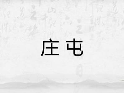 庄屯 庄屯