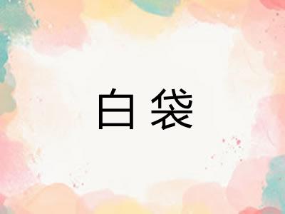 白袋 白袋