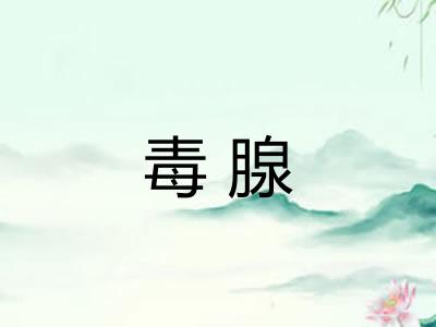毒腺 毒腺