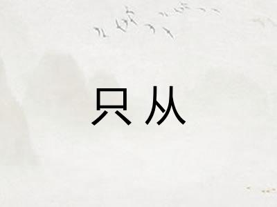 只从 只从
