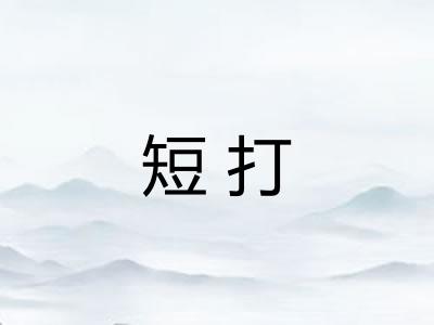 短打 短打