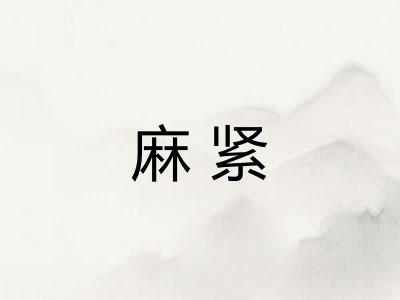 麻紧 麻紧