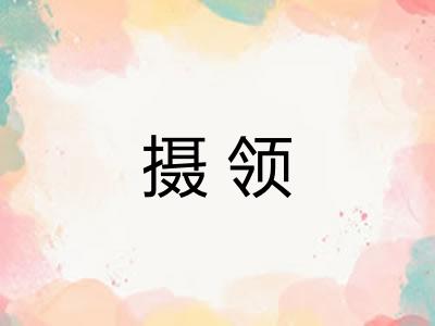 摄领 摄领