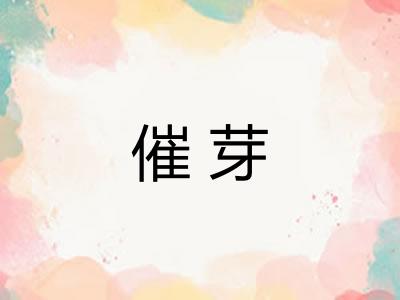 催芽 催芽