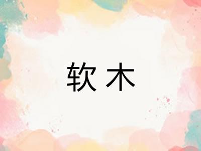 软木 软木