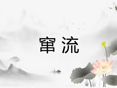 窜流 窜流