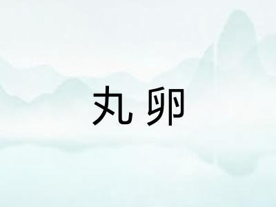 丸卵 丸卵