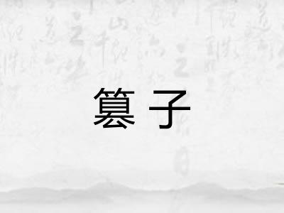 篡子 篡子