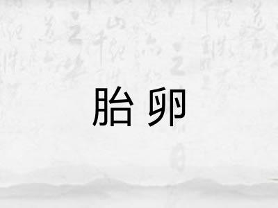 胎卵 胎卵