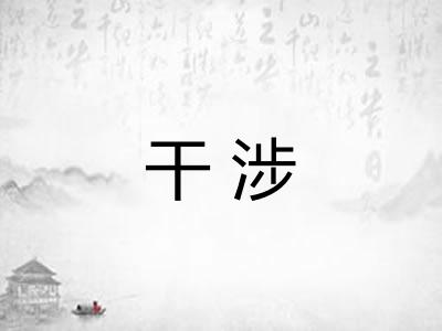干涉 干涉