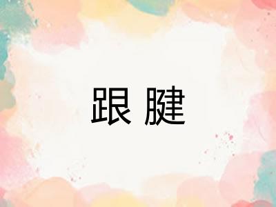 跟腱 跟腱