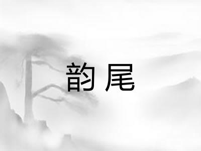 韵尾 韵尾