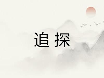 追探 追探
