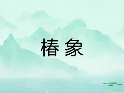 椿象 椿象