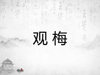 观梅 观梅