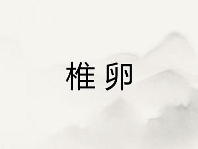 椎卵 椎卵