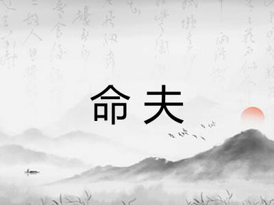 命夫 命夫
